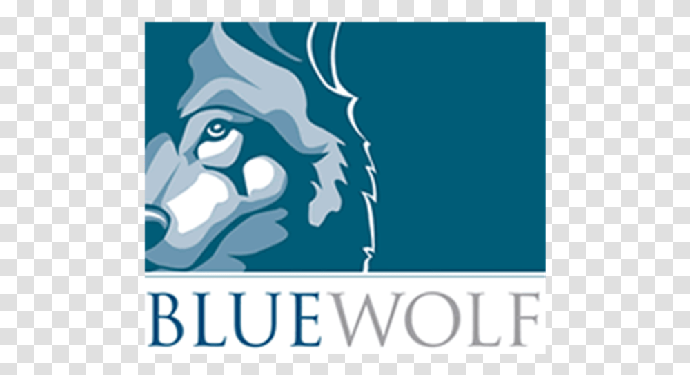 Blue Wolf Capital, Nature, Outdoors, Water Transparent Png