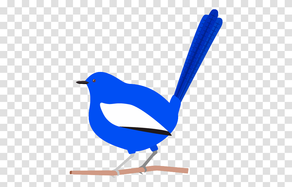 Blue Wren Cartoon, Bird, Animal, Magpie, Waterfowl Transparent Png