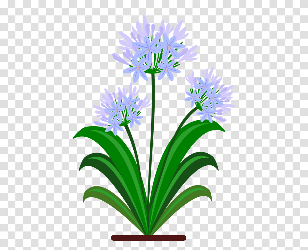 Blue Yellow Flower Green Violet, Plant, Blossom, Iris, Anther Transparent Png