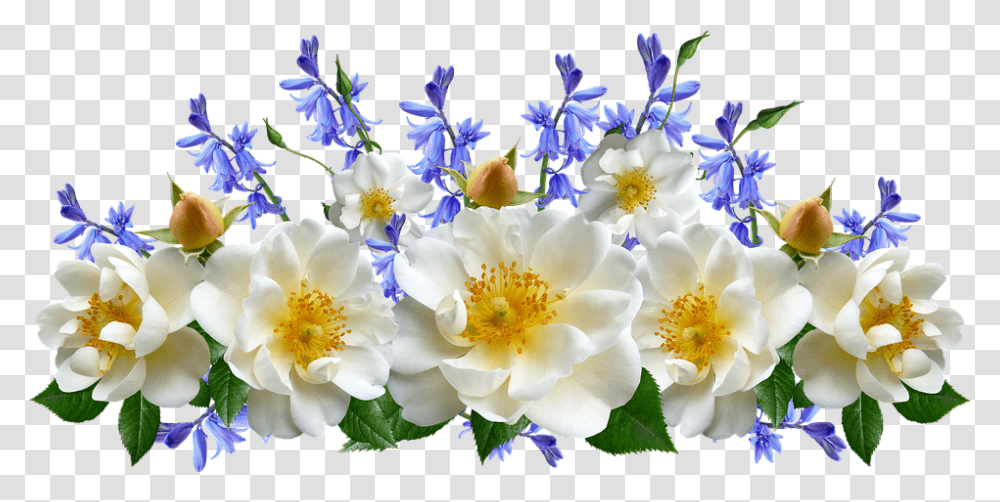 Bluebells Flowers, Plant, Blossom, Pollen, Flower Arrangement Transparent Png