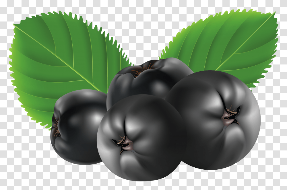Blueberries Aronia Clipart, Plant, Fruit, Food, Grapes Transparent Png