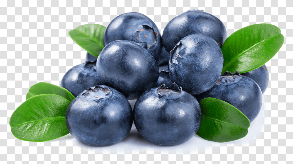 Blueberries Background Blueberry, Plant, Fruit, Food, Plum Transparent Png