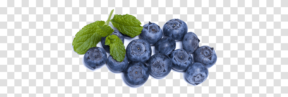 Blueberries Blueberries Brain Food, Plant, Blueberry, Fruit Transparent Png