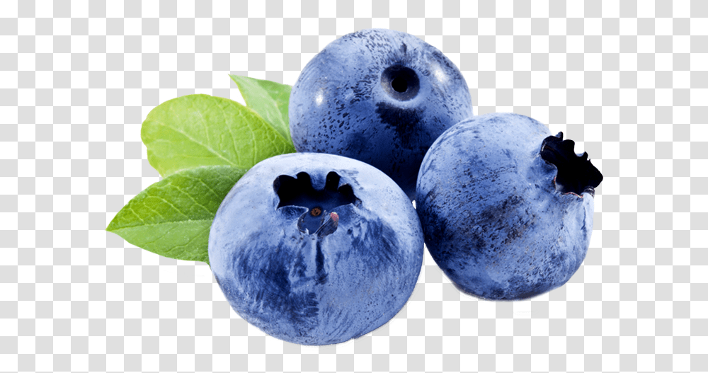 Blueberries Blueberry Closeup, Plant, Fruit, Food, Snowman Transparent Png