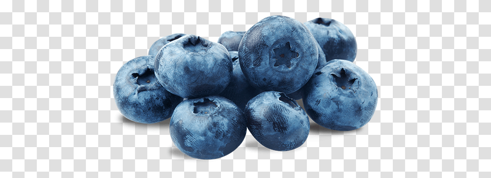 Blueberries, Blueberry, Fruit, Plant, Food Transparent Png