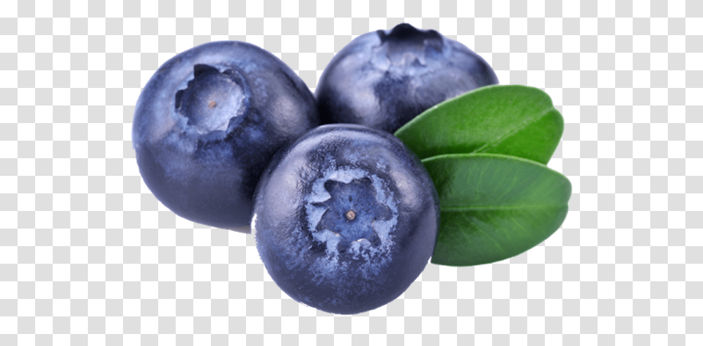 Blueberries Blueberry, Plant, Fruit, Food, Fungus Transparent Png