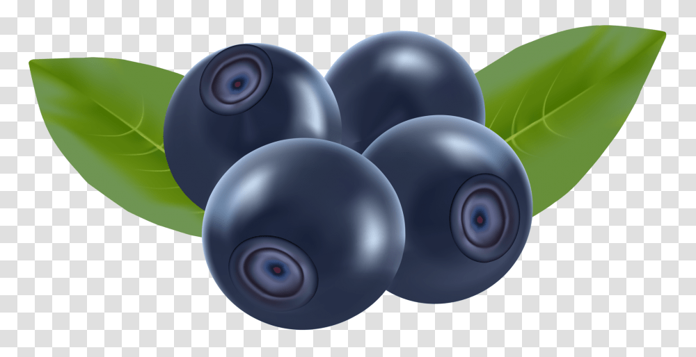 Blueberries Clip Art, Plant, Fruit, Food, Blueberry Transparent Png