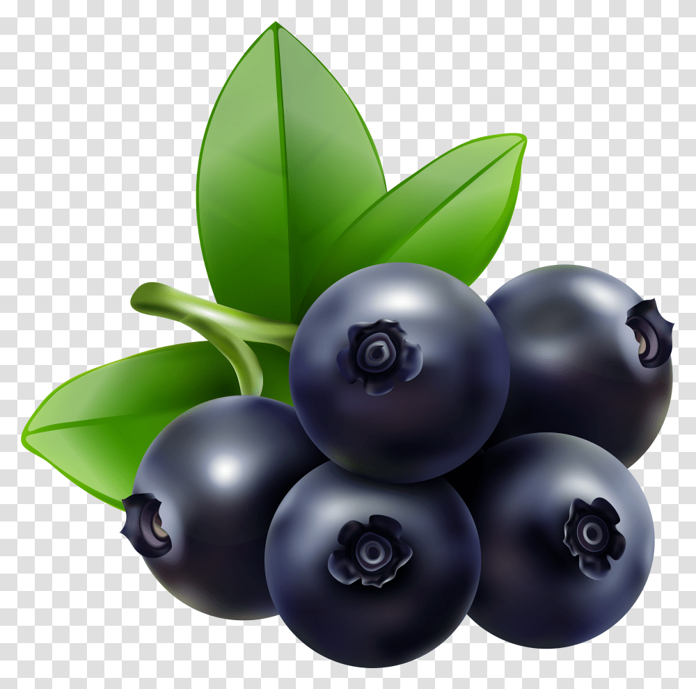 Blueberries Clipart Background Clip Art Blue Berries Transparent Png