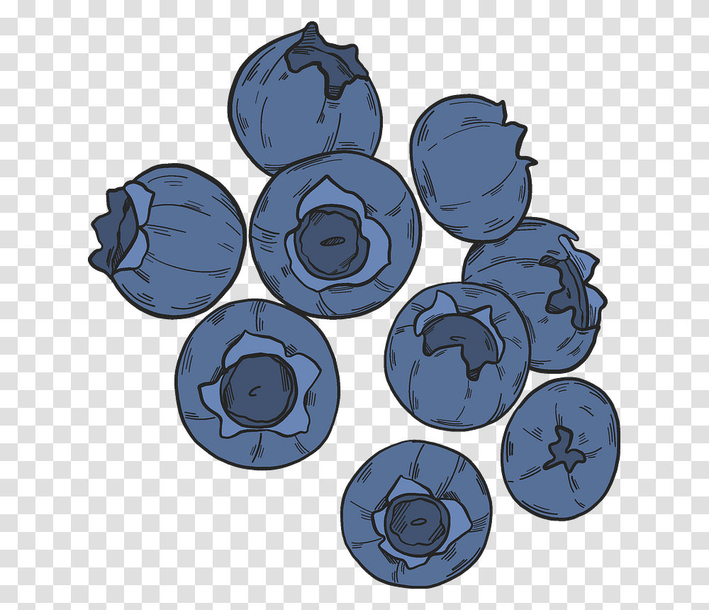 Blueberries Clipart Blueberry, Plant, Fruit, Food, Painting Transparent Png