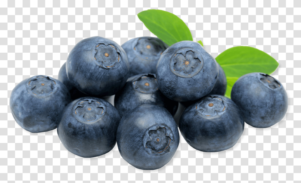 Blueberries Close Up Clip Arts Clipart Myrtille, Blueberry, Fruit, Plant, Food Transparent Png