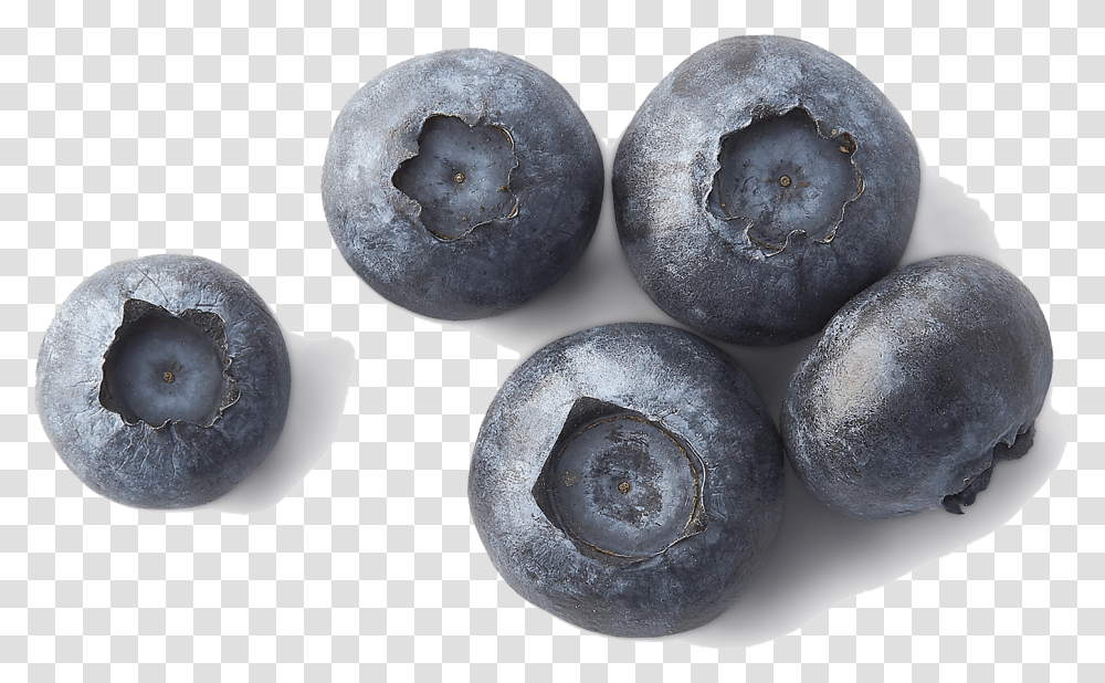 Blueberries File Chernika 1 Yagoda, Plant, Blueberry, Fruit, Food Transparent Png