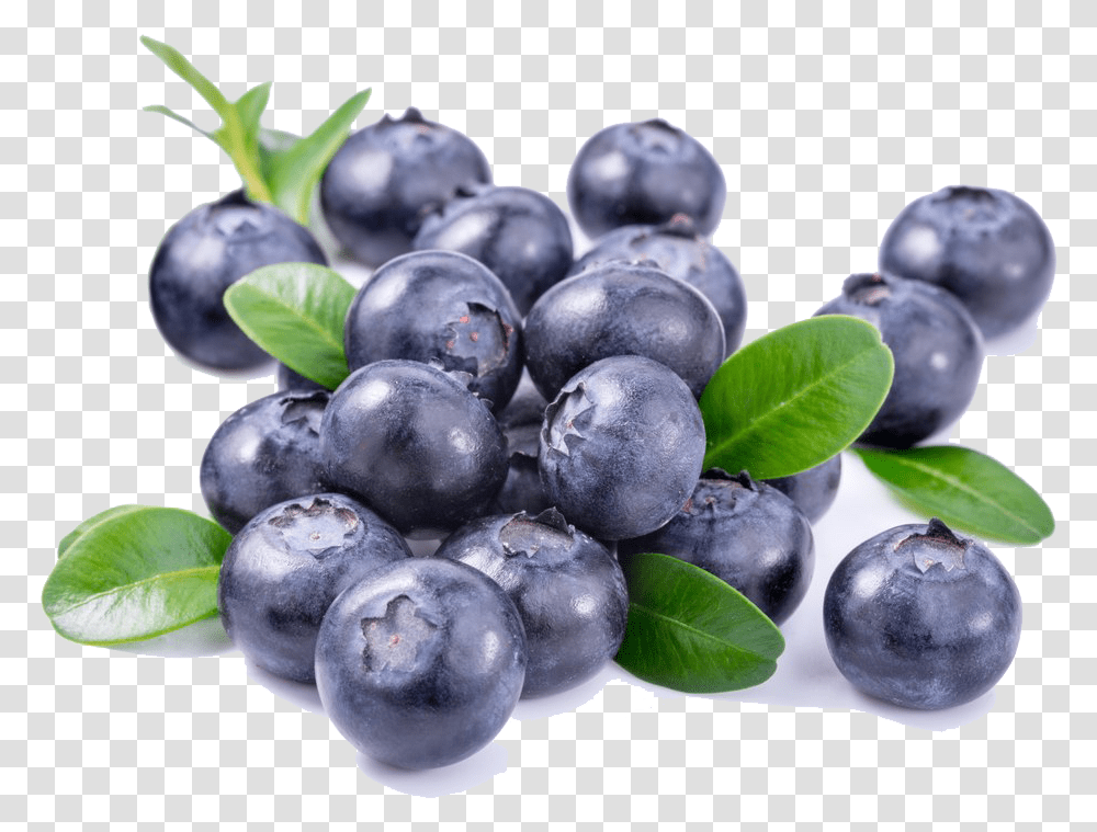 Blueberries File Download Free Vaccinium Myrtillus Flower Extract, Plant, Blueberry, Fruit, Food Transparent Png