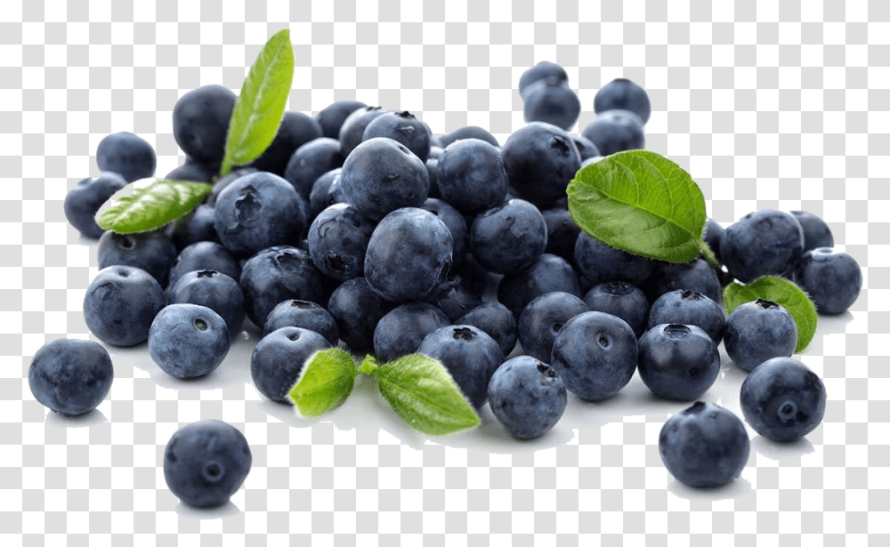 Blueberries Free Download Arandanos En, Plant, Blueberry, Fruit, Food Transparent Png