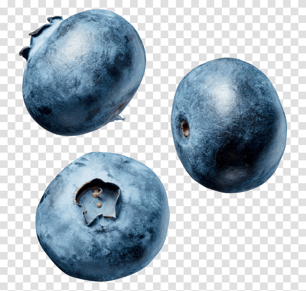 Blueberries, Fruit, Blueberry, Plant, Food Transparent Png