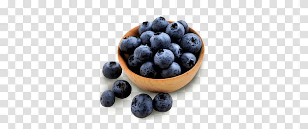 Blueberries, Fruit, Blueberry, Plant, Food Transparent Png