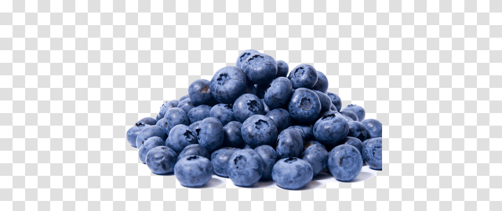 Blueberries, Fruit, Blueberry, Plant, Food Transparent Png