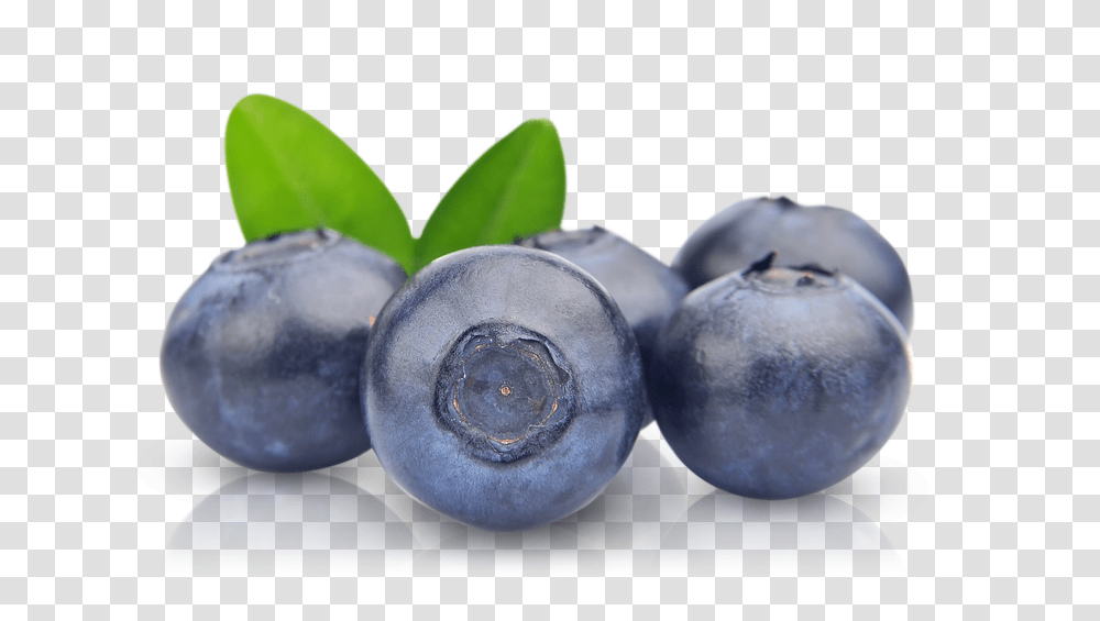 Blueberries, Fruit, Blueberry, Plant, Food Transparent Png