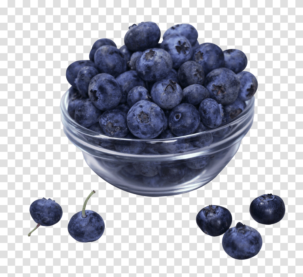 Blueberries, Fruit, Blueberry, Plant, Food Transparent Png