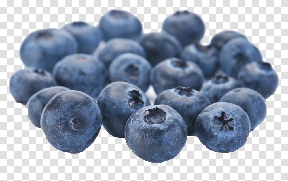 Blueberries Fruit, Plant, Blueberry, Food Transparent Png