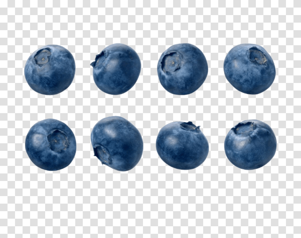 Blueberries, Fruit, Plant, Blueberry, Food Transparent Png