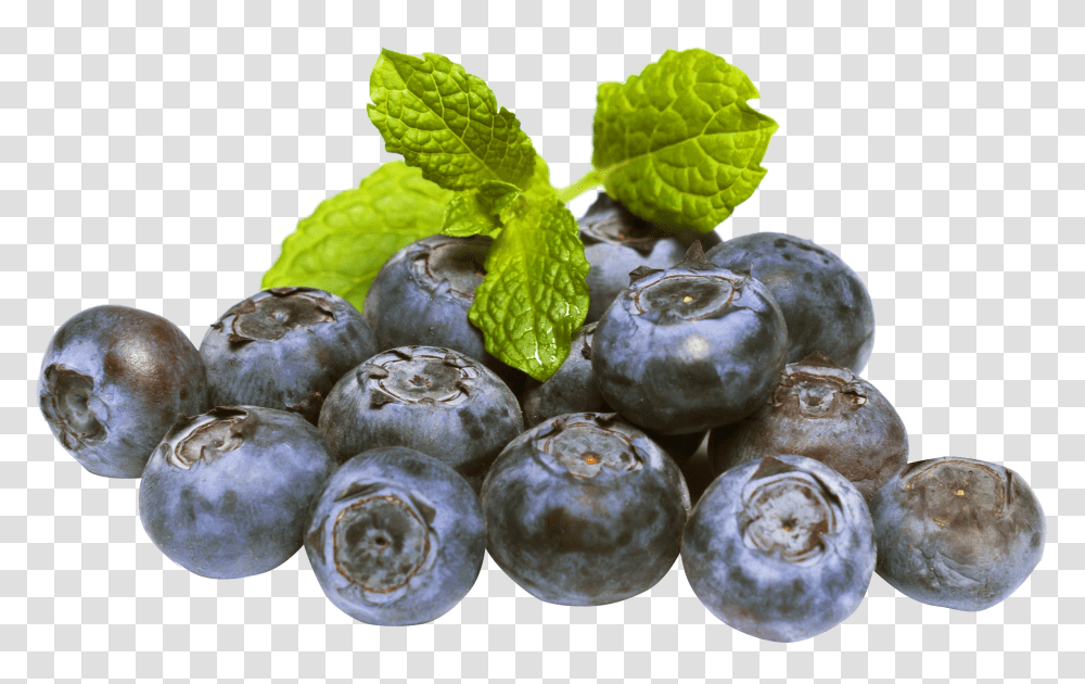 Blueberries, Fruit, Plant, Blueberry, Food Transparent Png