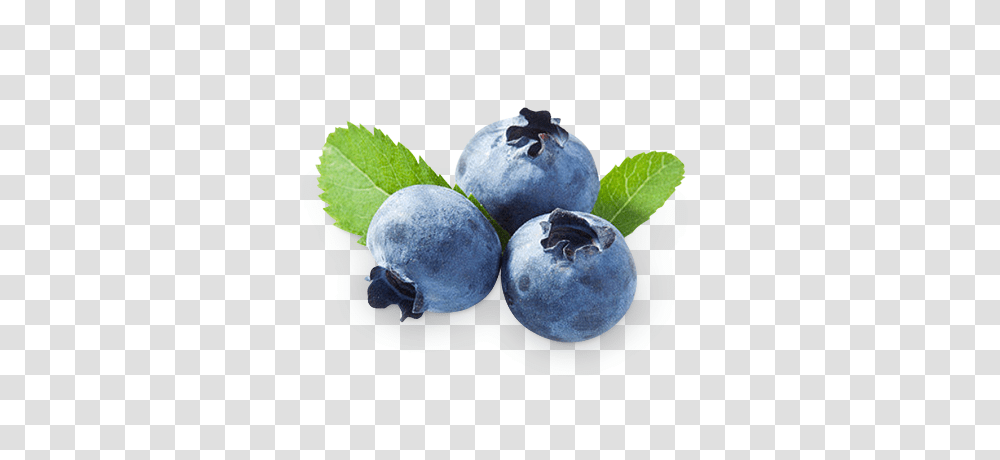 Blueberries, Fruit, Plant, Blueberry, Food Transparent Png