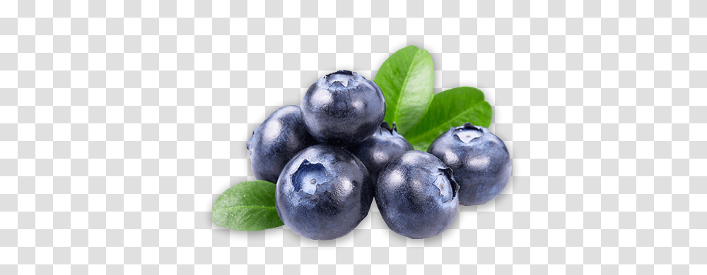 Blueberries, Fruit, Plant, Blueberry, Food Transparent Png