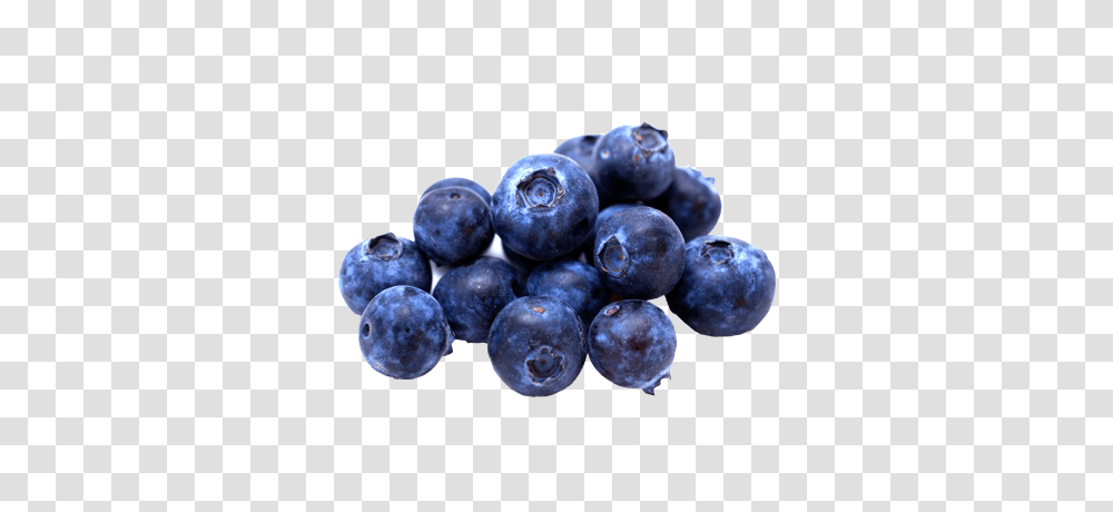 Blueberries, Fruit, Plant, Blueberry, Food Transparent Png