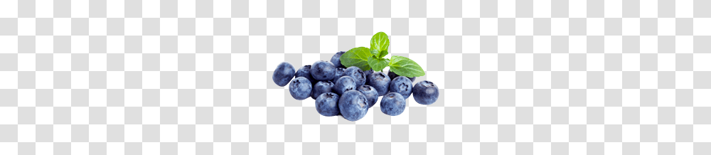 Blueberries, Fruit, Plant, Blueberry, Food Transparent Png