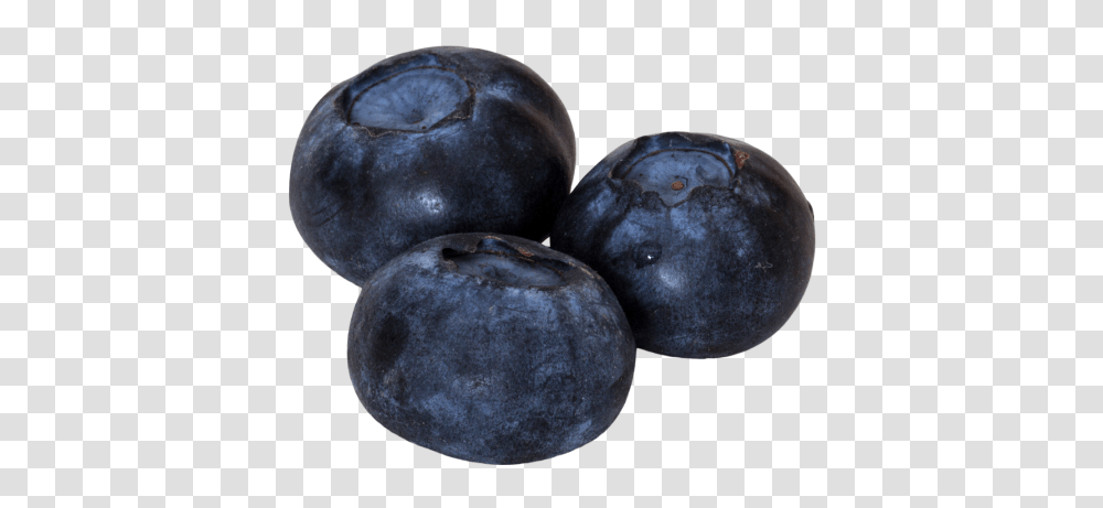 Blueberries, Fruit, Plant, Food, Blueberry Transparent Png