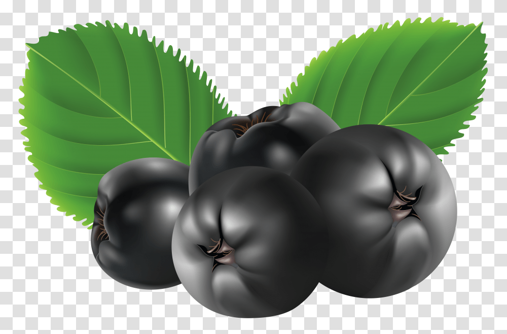 Blueberries, Fruit, Plant, Food, Grapes Transparent Png