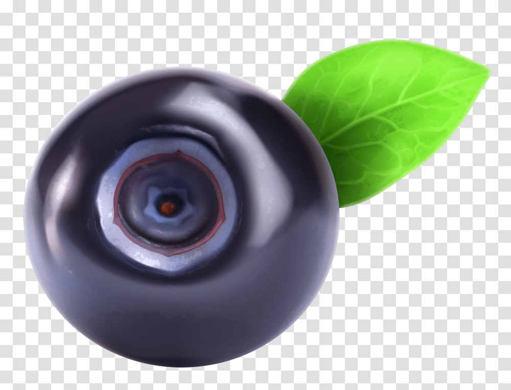 Blueberries, Fruit, Plant, Food, Plum Transparent Png