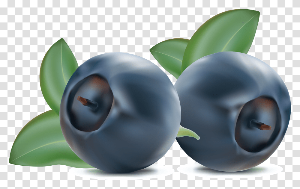 Blueberries, Fruit, Plant, Green, Food Transparent Png