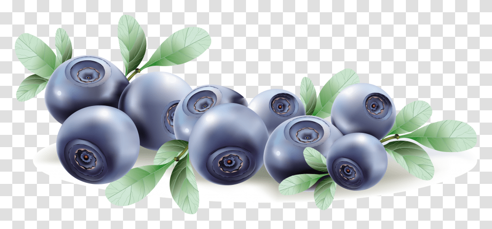 Blueberries, Fruit, Plant, Sphere, Blueberry Transparent Png