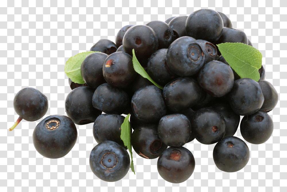 Blueberries, Fruit Transparent Png