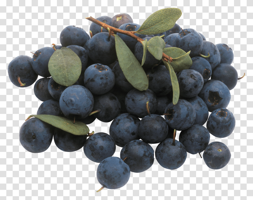 Blueberries, Fruit Transparent Png