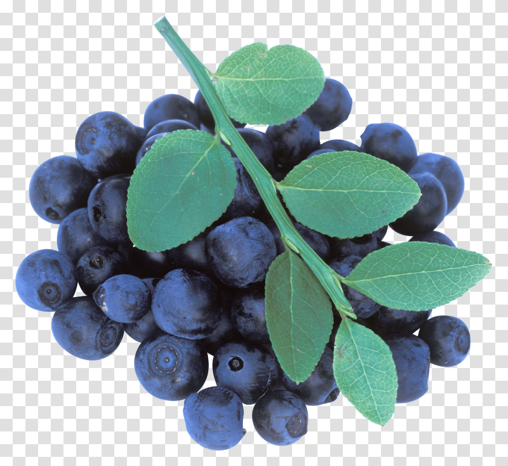 Blueberries, Fruit Transparent Png