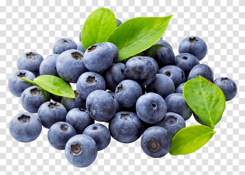 Blueberries, Fruit Transparent Png