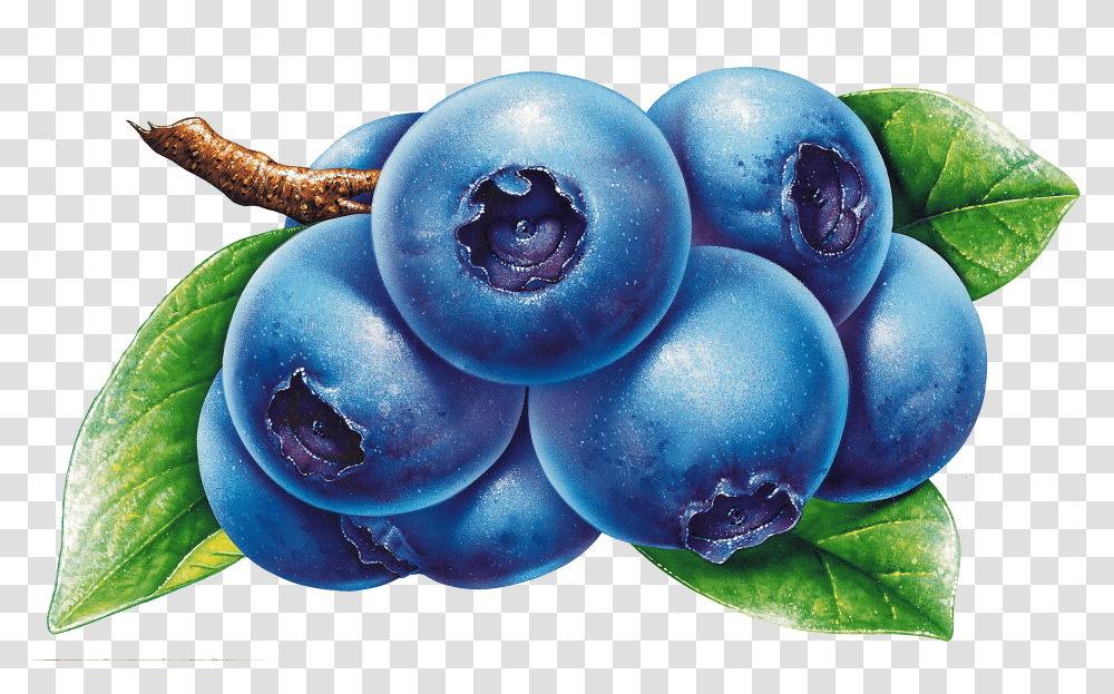 Blueberries, Fruit Transparent Png