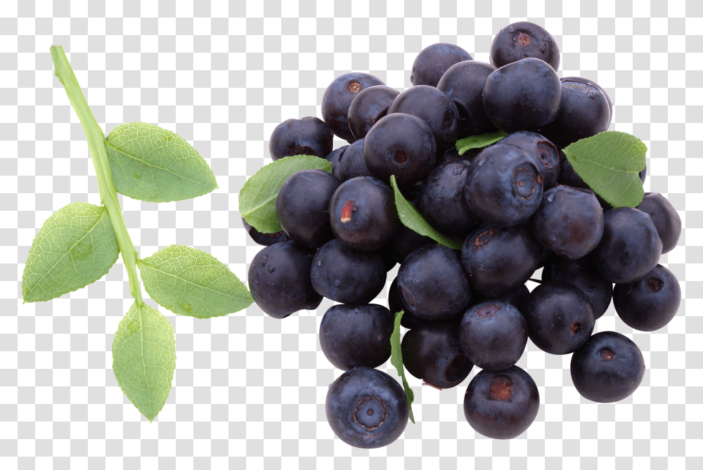 Blueberries, Fruit Transparent Png