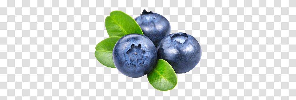 Blueberries Icon Blueberry, Fruit, Plant, Food, Tennis Ball Transparent Png