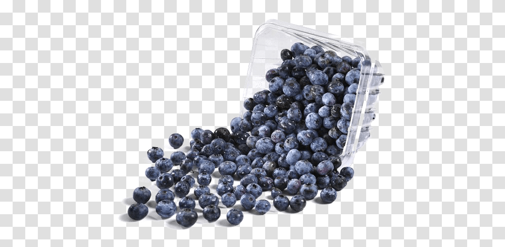 Blueberries Image Background Background Bowl Of Blueberries, Blueberry, Fruit, Plant, Food Transparent Png