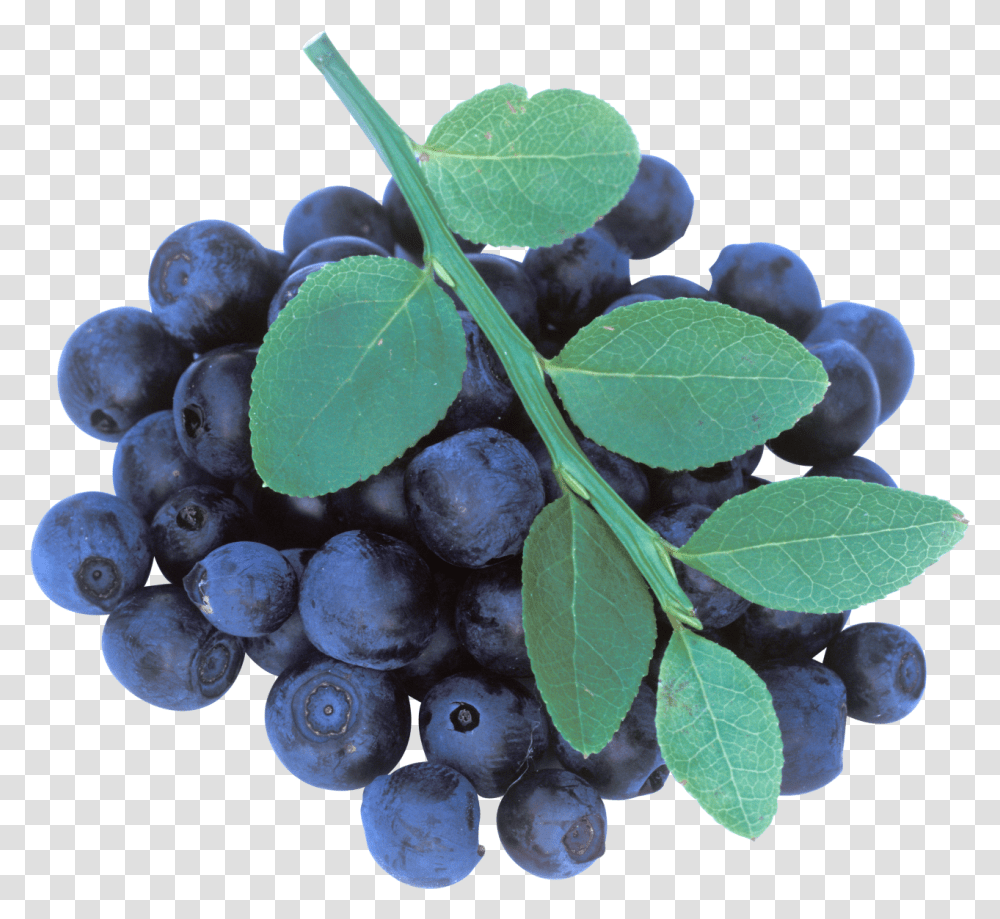 Blueberries Image Blueberry, Plant, Fruit, Food, Grapes Transparent Png