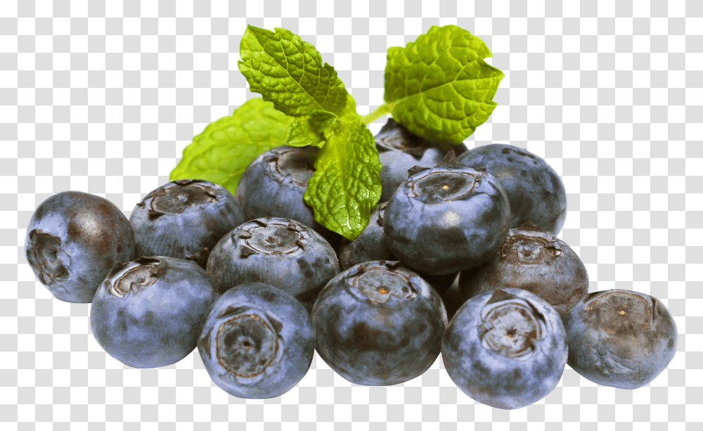 Blueberries Image Clipart Vectors Free High Resolution Blueberry, Plant, Fruit, Food, Snake Transparent Png