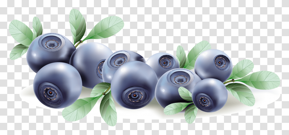 Blueberries Image Without Blueberry Vector, Fruit, Plant, Food, Grapes Transparent Png