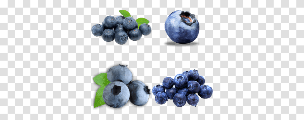 Blueberries Images Blueberries, Blueberry, Fruit, Plant, Food Transparent Png