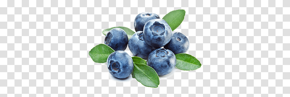 Blueberries Images Blueberry Background, Fruit, Plant, Food, Toy Transparent Png