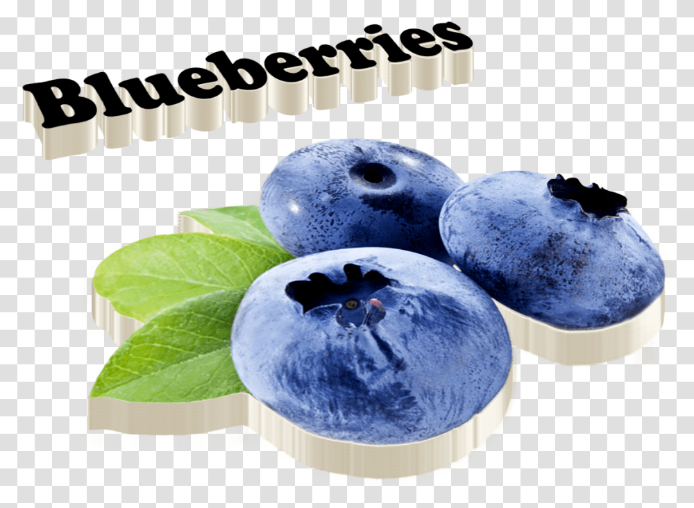 Blueberries Images Blueberry, Plant, Fruit, Food, Snowman Transparent Png