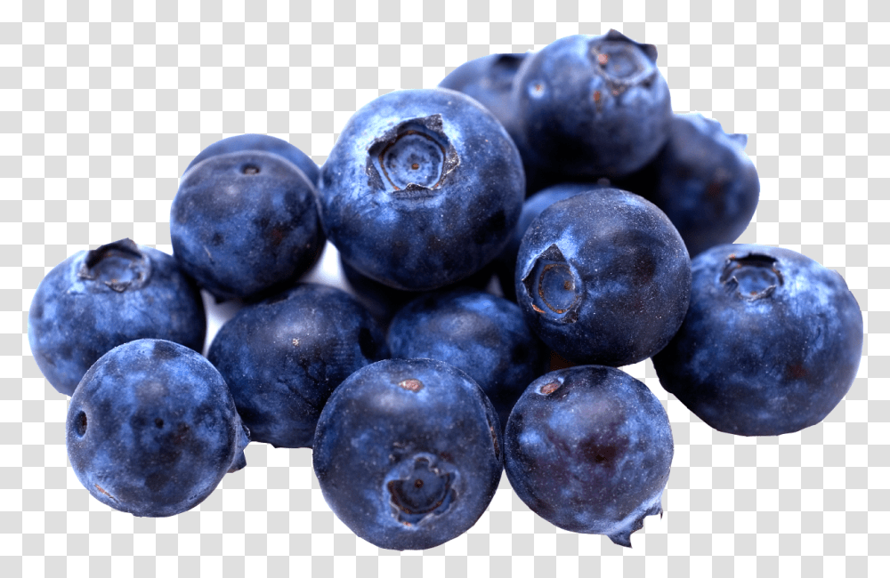 Blueberries Images Free Download Blueberry, Fruit, Plant, Food, Fungus Transparent Png