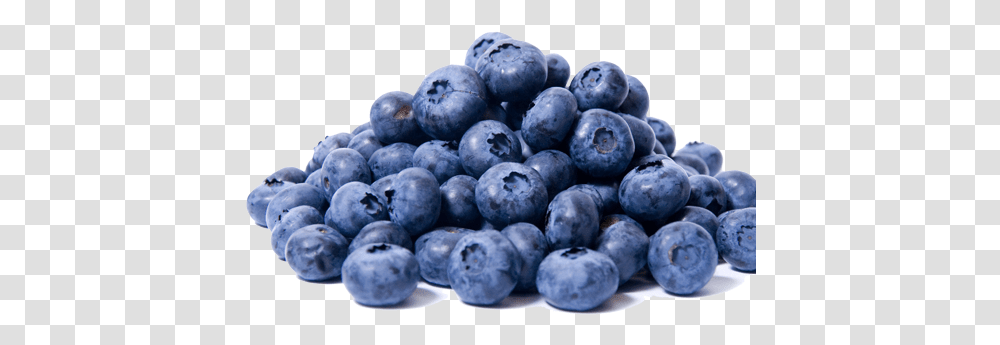 Blueberries Images Free Download, Blueberry, Fruit, Plant, Food Transparent Png